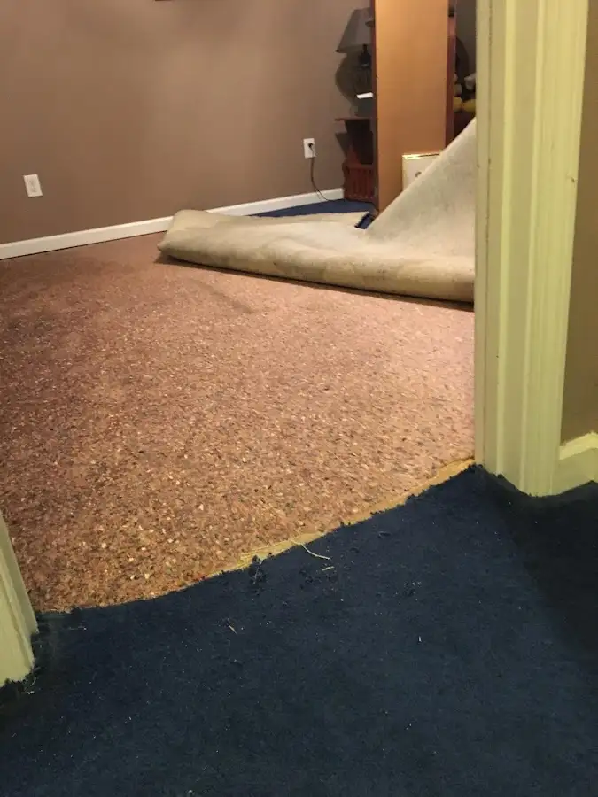 Carpet pad removal revealing water damage during Drying & Dehumidification in Saco