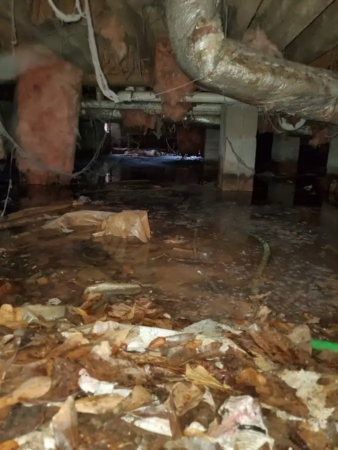 Crawl space flood assessment for Leak Detection & Repair in Saco
